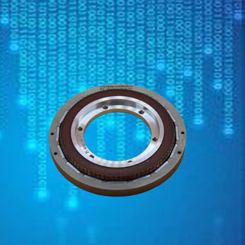 NH100LYX series dc torque moto